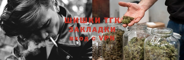 молекула духа Чекалин
