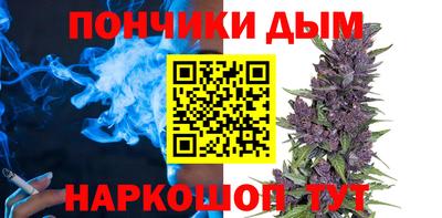 амф Гай