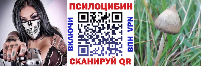 Псилоцибиновые грибы Psilocybe hydra tor Зима