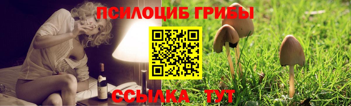 Галлюциногенные грибы GOLDEN TEACHER Зима