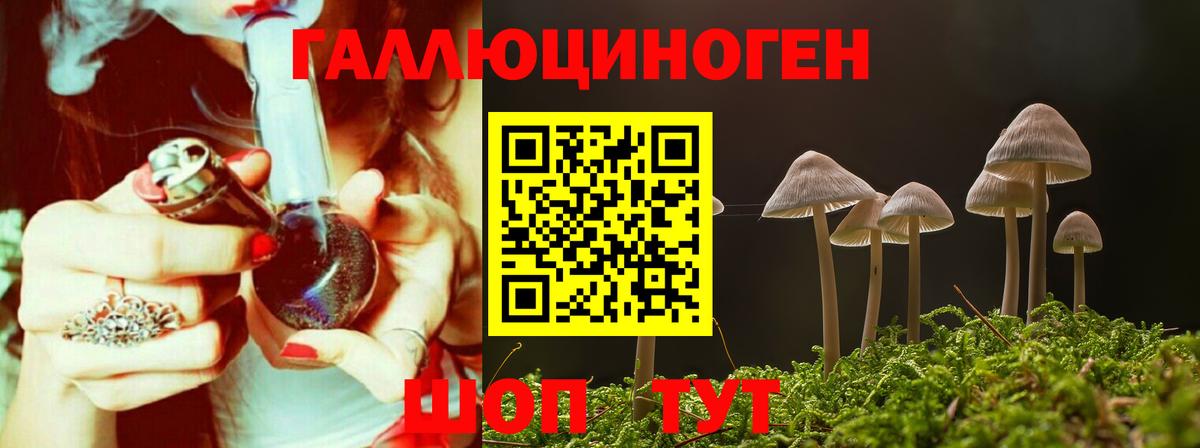 Галлюциногенные грибы мухоморы  Вход с VPN  Зима 