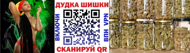 Марихуана сатива Зима