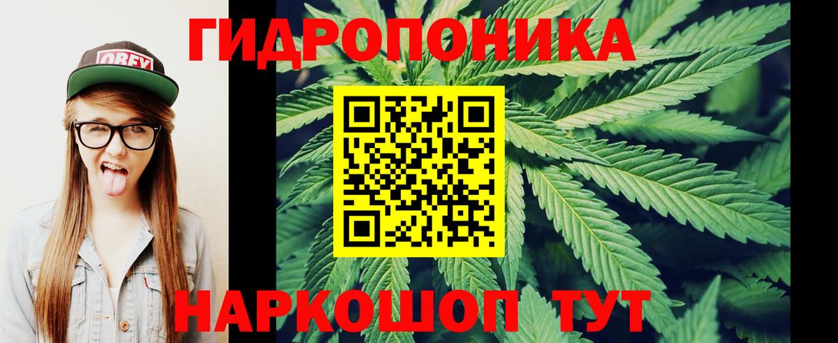 Зима  Шишки марихуана Amnesia  Шишки марихуана планчик  Вход с VPN  Канабис семена  Бошки марихуана конопля 